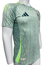 Jersey (Playera) México Visita 2024 Versión Jugador - Imagen 3
