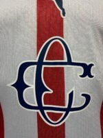 Jersey (Playera) Chivas Local 120 Aniversario - Imagen 2
