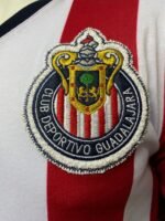 Jersey (Playera) Chivas Local 2008 Tigre Sepulveda - Imagen 2
