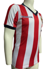 Jersey (Playera) Chivas Local 2008 Tigre Sepulveda - Imagen 4